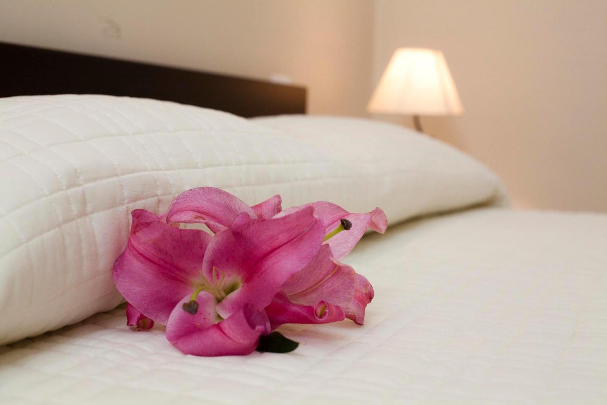 Antiche Volte Bed & Breakfast Catania Exterior photo